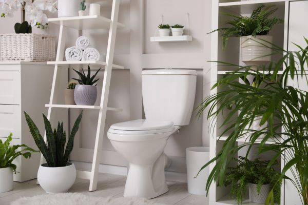 Cost of Toilet Repair in Denton