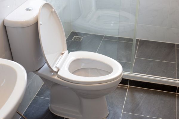 Cost of Toilet Replacement in Denton