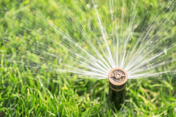 Cost of Spigot Installation in Denton