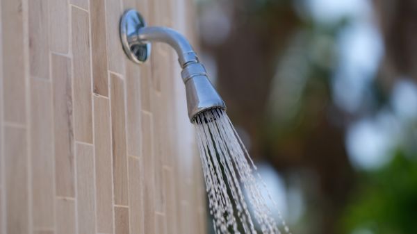Cost of Showerhead Repair in Denton